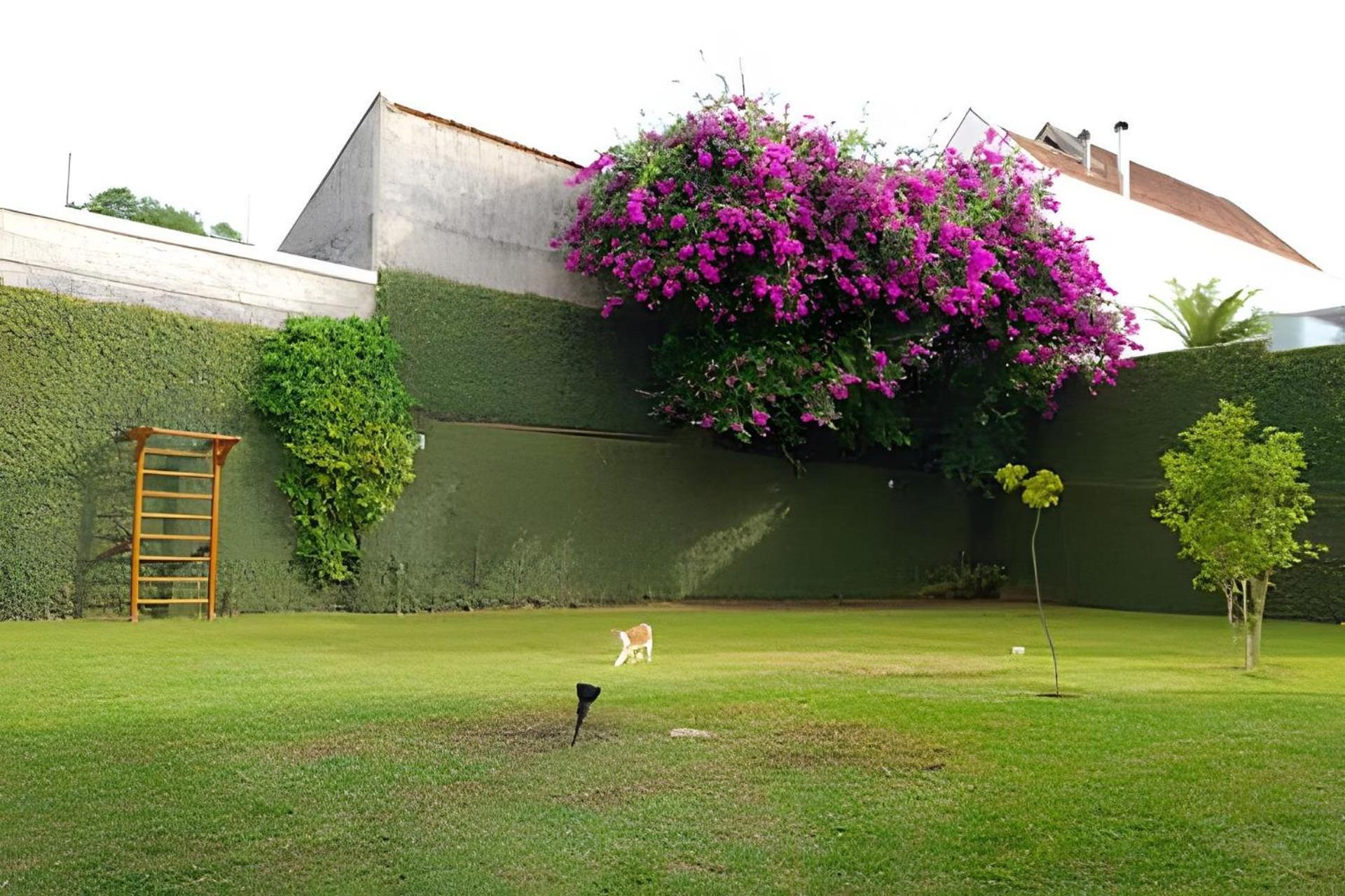 Conceito Aberto Na Casa Barigui, Garden